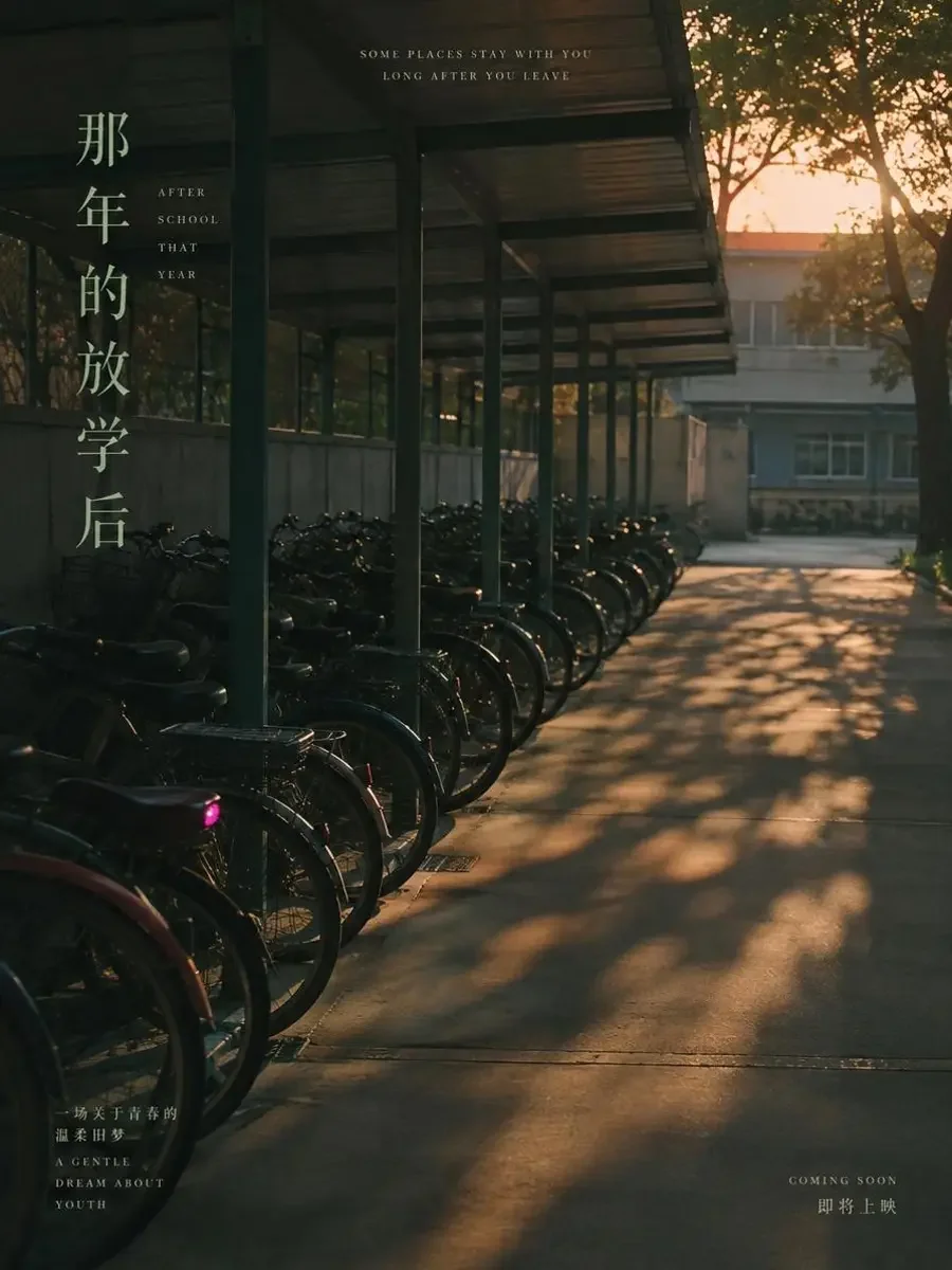 晚自习后的单车棚 - 我们骑同一条路,却从没说好一起走 《晚自习后的单车棚》封面,骑行题材校园青春短剧